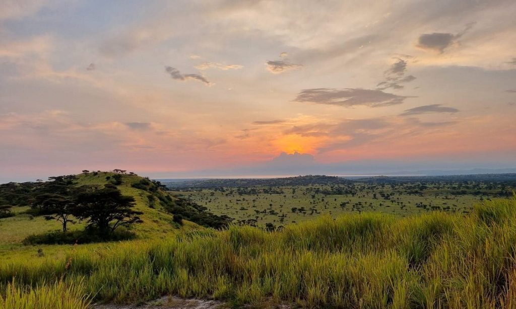 5 Must Visit Places in Western Uganda Lake Mburo National Park