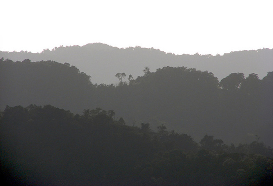 Top 5 Destinations to Visit on a Safari to Uganda Uganda Forest