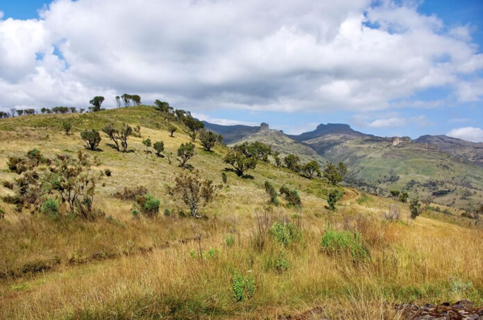 Mount Elgon in Uganda