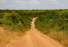 The Perfect Uganda Road Trip Road Trip in Uganda