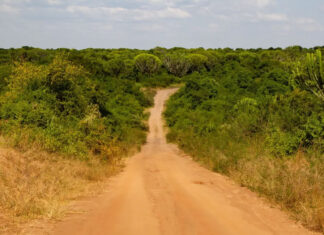 The Perfect Uganda Road Trip Road Trip in Uganda