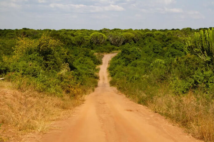 Road Trip in Uganda