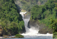 Experience Murchison Falls National Park Murchison Falls Park