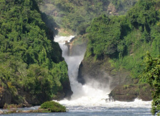 Experience Murchison Falls National Park Murchison Falls Park